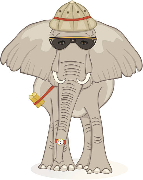 ilustraciones, imágenes clip art, dibujos animados e iconos de stock de elefante en safari - equipped