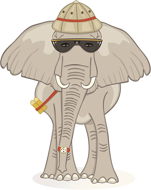 ilustrações de stock, clip art, desenhos animados e ícones de elefante no safari - equipped