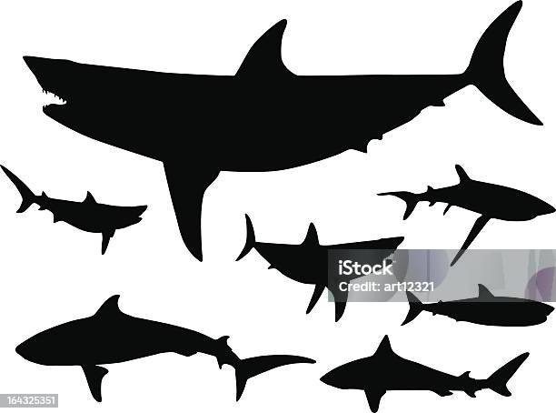 Requins Dans La Silhouette De Leau Vecteurs libres de droits et plus d'images vectorielles de Requin - Requin, Silhouette - Contre-jour, Grand requin blanc