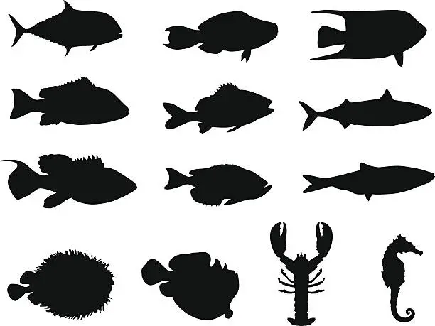 Vector illustration of Fish and sea life silhouettes ; made in Adobe Illustrator