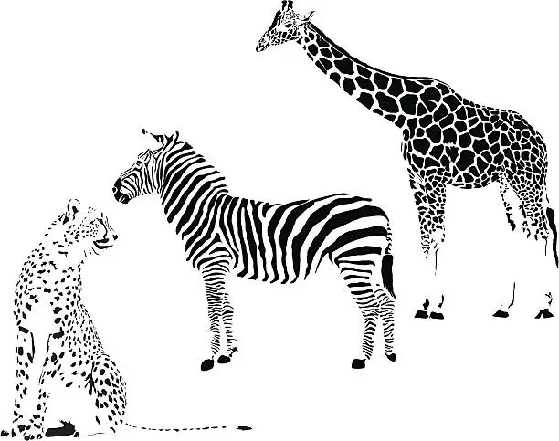 Vector illustration of Jungle Beasts by Spots and Stripes