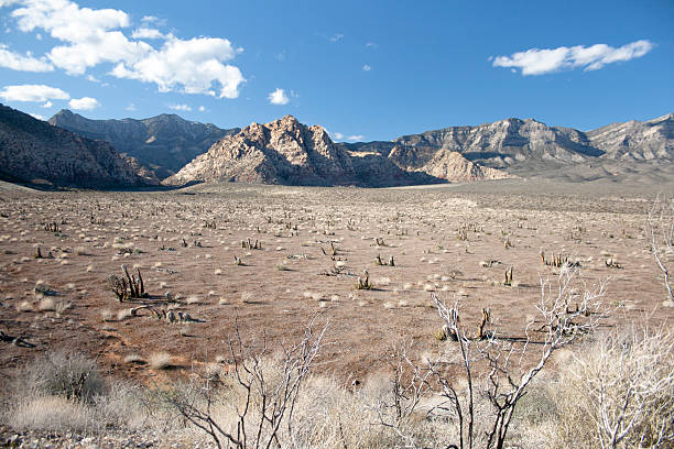 Desierto y Las montañas cerca de Las Vegas en Nevada - foto de stock