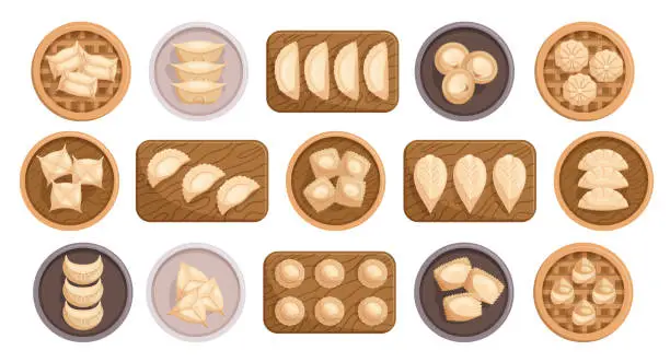 Vector illustration of Set Of Dumplings On Wooden Plated And Boards. , Savory Parcels Of Dough Filled With Meat, Vegetables Vector Illustration