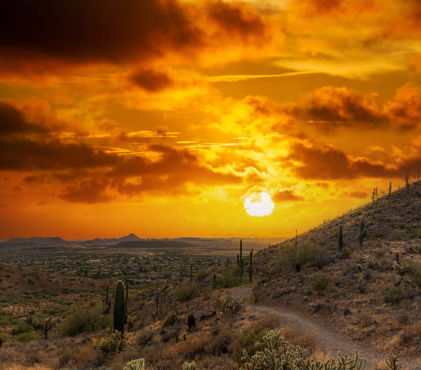 istock A desert trail on a mountain leading to a sunset over a valley in Phoenix 1643335429