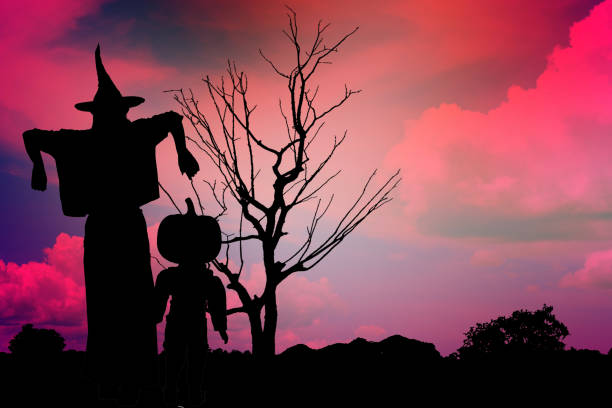An old weathered wooden sign that says' Trick Or Treat\
