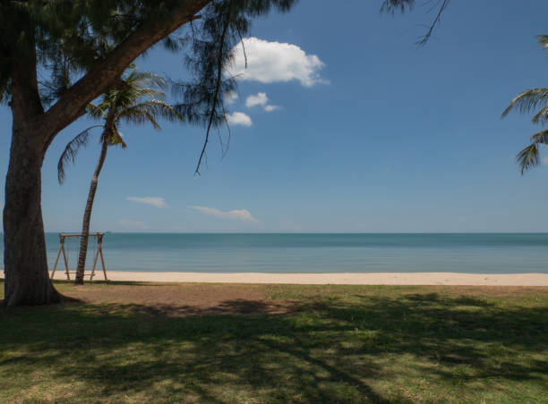 istock In the shade of a pine tree, on a sandy beach, bright blue sky. 1643395788