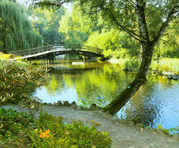 istock Japanese garden in the rain 164343346