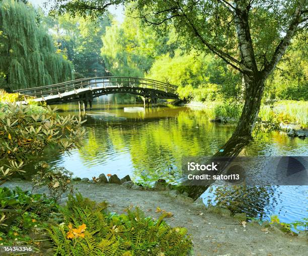 Japanese Garden In The Rain Stock Photo - Download Image Now - Bridge - Built Structure, Japanese Garden, Lake