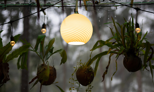 Yellow pendant lights with trees on a background