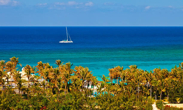 istock Catamaran on the Caribbean 164349472