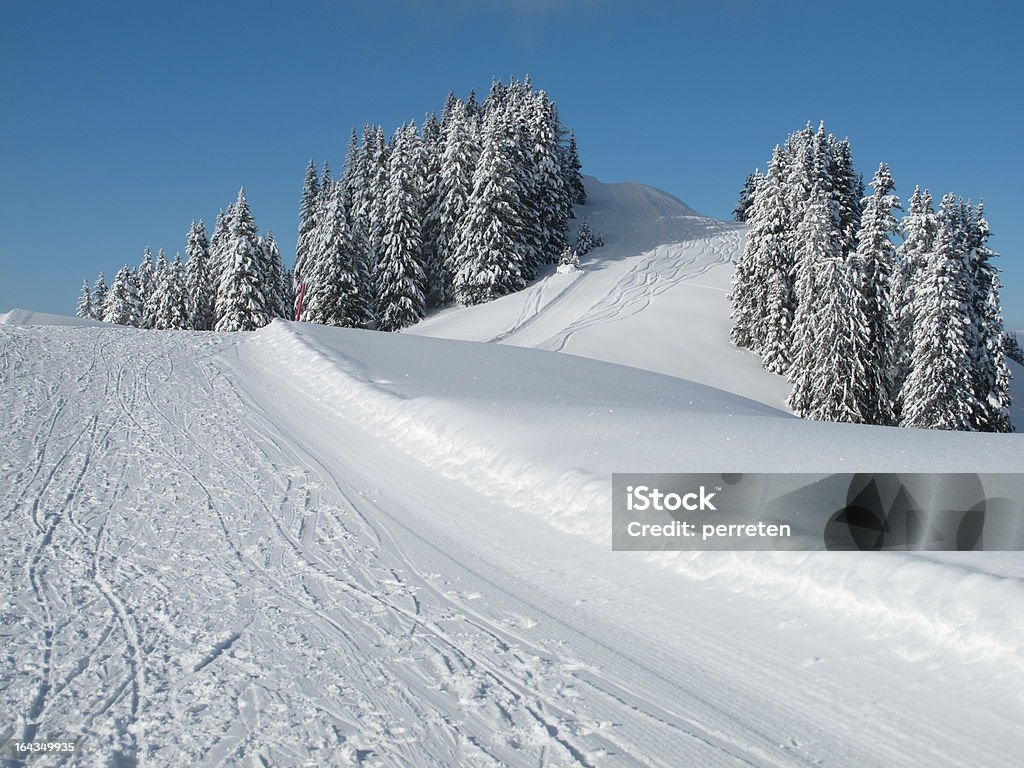 Schneebedeckte Bäume, slope - Lizenzfrei Schlittenfahren Stock-Foto