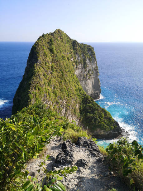 istock Cape T.Rex, Nusa Penida, Bali, Indonesia 1643522703