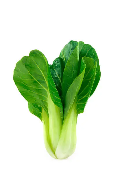 a bunch of Bok Choy on white background
