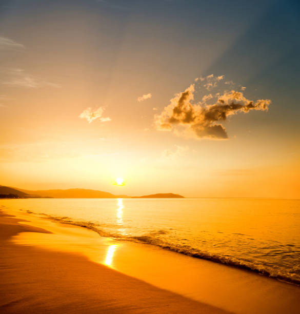 istock Landscape of beautiful beach at sunset 1643573987