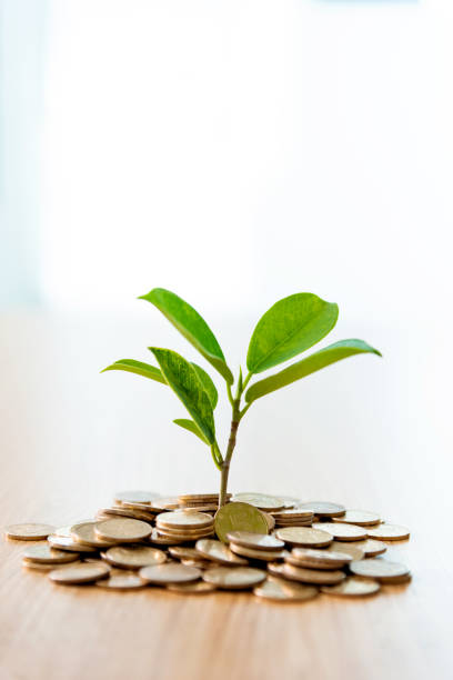 istock Little plant growing from a stack of coins 1643574506