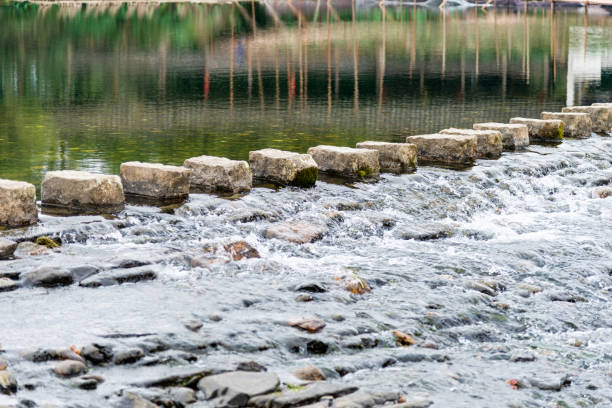 Stepping stones crossing a river in the park.