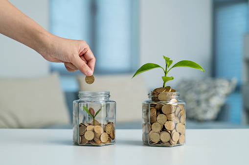 Human hand putting coin in the jar with green plant.