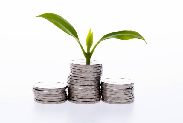 Green plant growing on stack of coins.