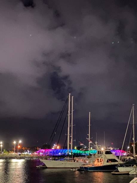 istock A boat park in the harbor 1643598159