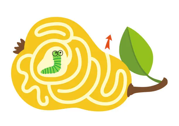 Vector illustration of Worm in a pear. Maze game for kids. Help a caterpillar to find a correct way