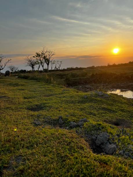 istock view of pecinan cape village at sunset situbondo district East java, Indonesia 1643600834