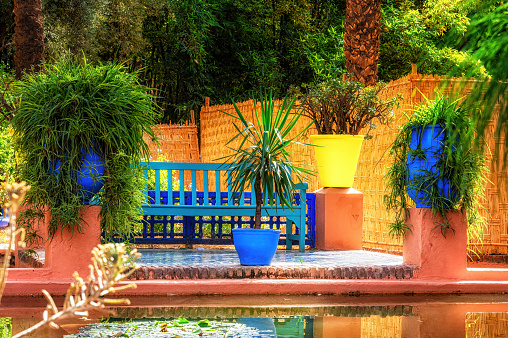 The Majorelle garden is a tourist botanical garden of about 300 species on nearly one hectare. It was named after its founder, the French painter Jacques Majorelle, who created it in 1931.