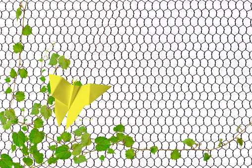 Yellow origami butterfly perched on ivy entwined with a rusty wire mesh against white background.