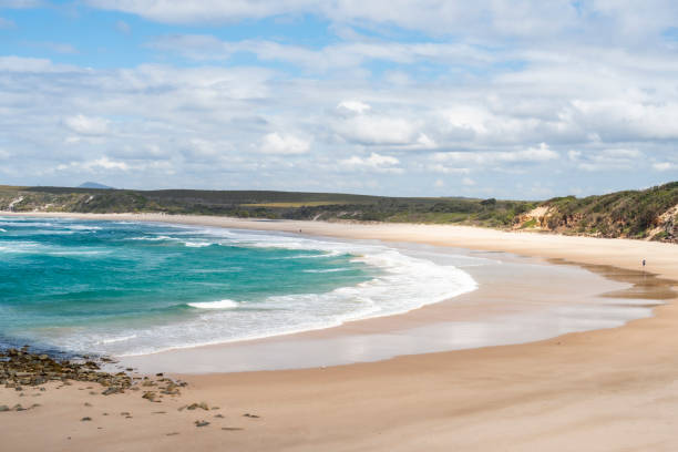 istock The beach and sand dunes at Angourie 1643728514