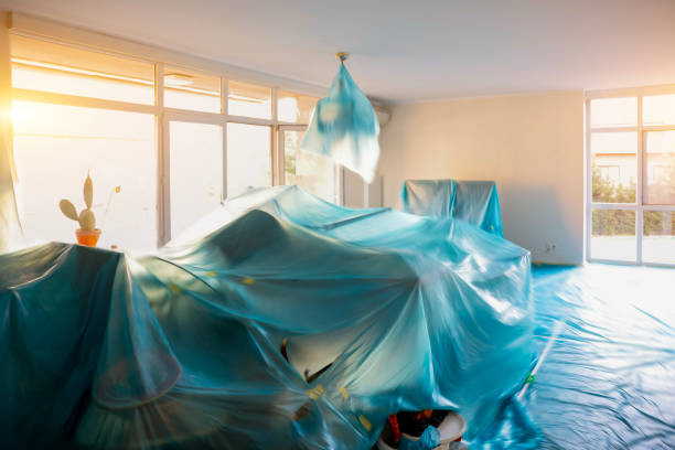 istock Whitewash preparation at home. Household items covered with whitewash nylon 1643730624