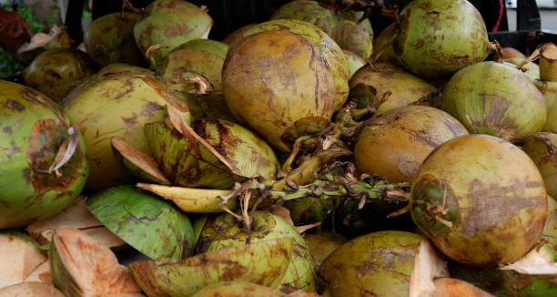 istock Young coconut street vendor on a roadside. 1643737746
