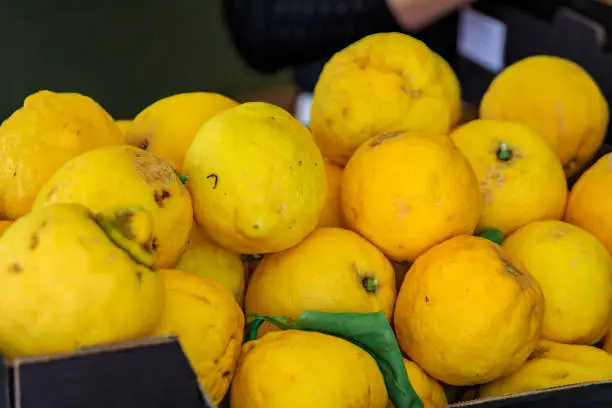 Ripe yellow lemons or citrons on a stand at a local outdoor farmers market in the Old Town, Vieille Ville in Menton, French Riviera, South of France