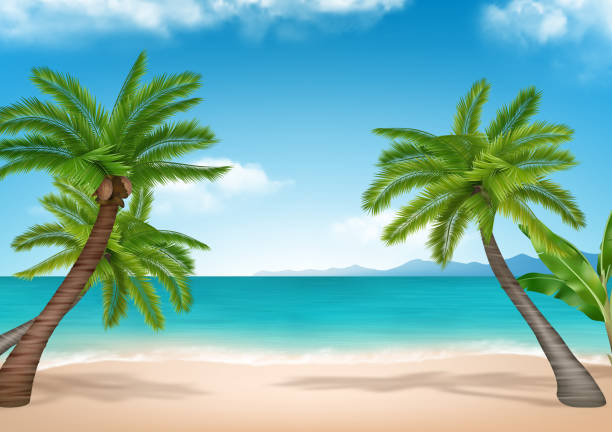 istock Beach background. Exotic relax place on the tropical beach decent vector realistic landscape 1643777393