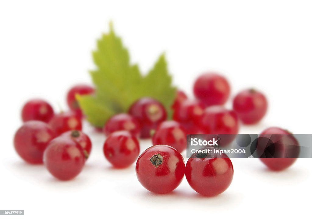 Czerwona porzeczka berry - Zbiór zdjęć royalty-free (Bez ludzi)