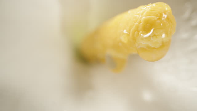 The focusing technique starts from the background and moves forward, capturing the spadix of a white Calla flower with water droplets. Macro shot.