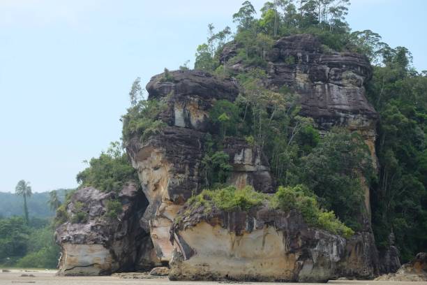 1.200+ Parque Nacional De Bako Fotos Fotografías de stock, fotos e