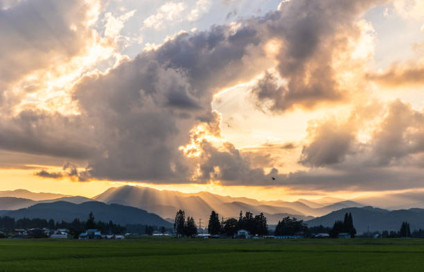 istock Majestic afternoon rural country clouds over farm fields 1643811353