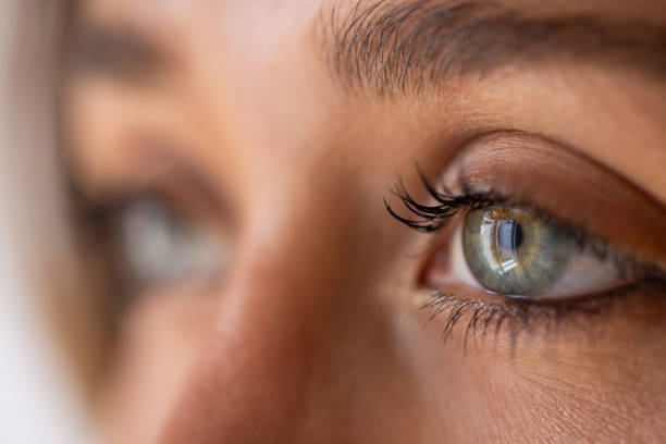 istock Macro of female eye iris 1643816906