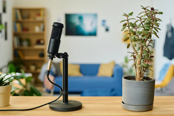 istock Focus on microphone and flowerpot with green domestic plant on table 1643819113