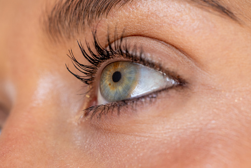 Macro of female eye iris