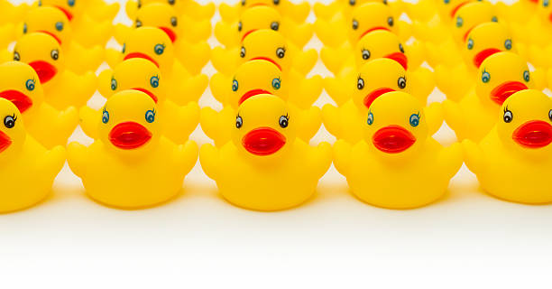Rows of Rubber Ducks