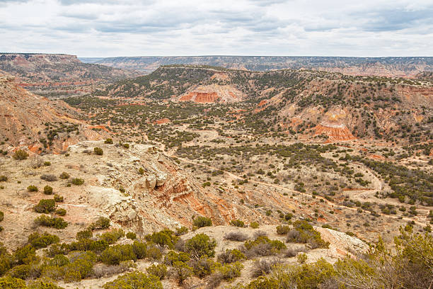 istock Palo Duro Canyon 164383195
