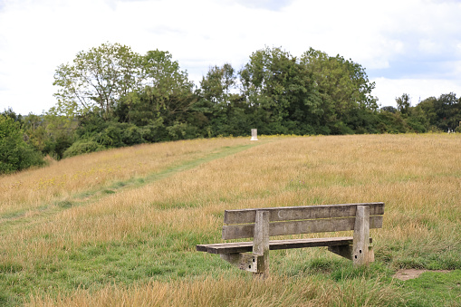 Pewley Down empty bench Guildford Surrey England Europe