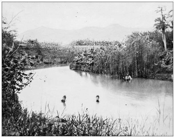 Hawaii, antique photo: Waikiki River