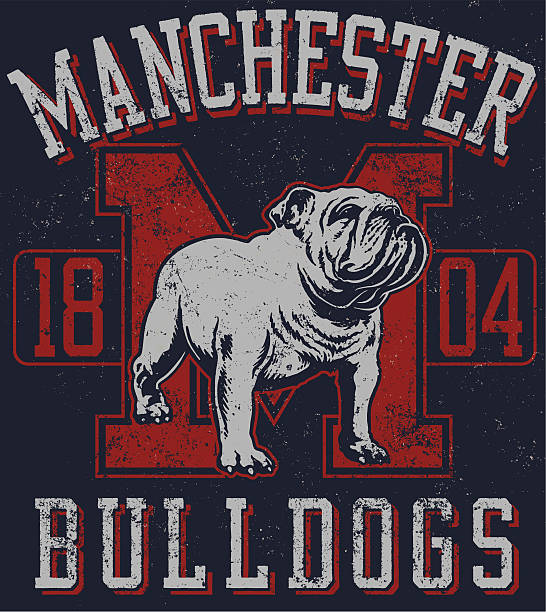 vintage traditionelle bulldogge maskottchen-design - bulldogge stock-grafiken, -clipart, -cartoons und -symbole