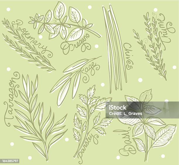Сад Трав — стоковая векторная графика и другие изображения на тему Базилик - Базилик, Векторная графика, Весна