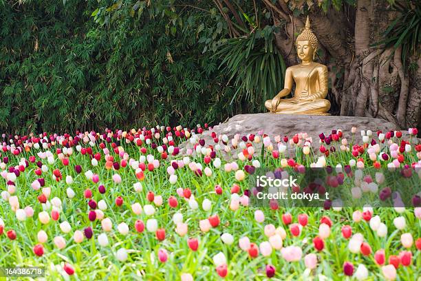 Photo libre de droit de Statue De Bouddha Doré De Tulipe Le Jardin banque d'images et plus d'images libres de droit de Asiatique de l'Est et du Sud-Est - Asiatique de l'Est et du Sud-Est, Asie, Bouddha