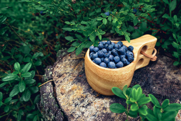 istock A wooden cup filled with fresh blueberries 1643871095
