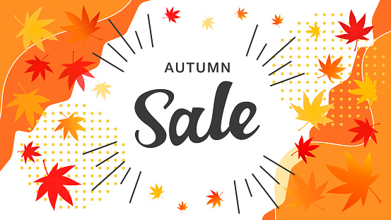Autumn sale banner template design with maple leaves. Vector background illustration material