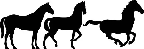 Vector illustration of Highly Detailed Horse Silhouettes