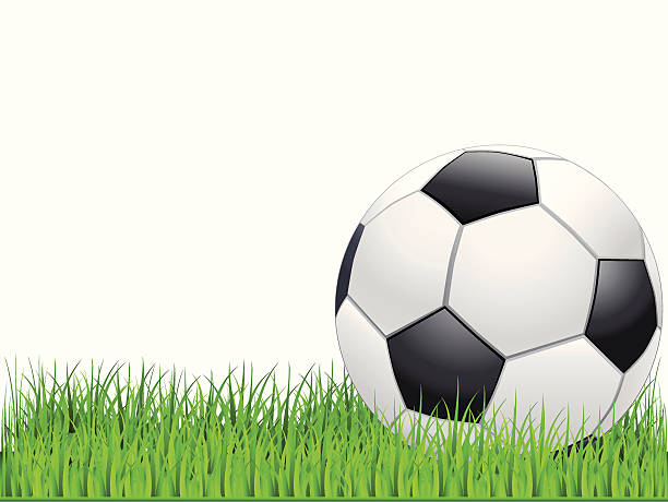 Football on the pitch vector art illustration